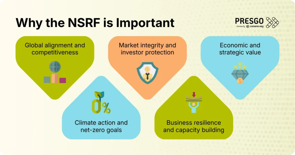 Infographic showing the five reasons the NSRF is important