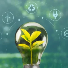 Lightbulb with plant symbolising sustainability